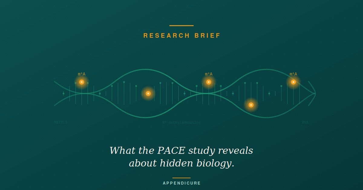 Appendix Cancer m6A: What the PACE Study Reveals About Hidden Biology