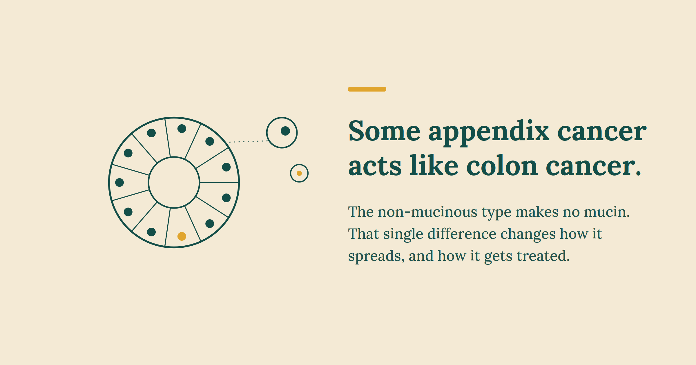 Non-Mucinous Appendix Cancer: Why It Acts Like Colon Cancer, but isn’t Colon Cancer At All.