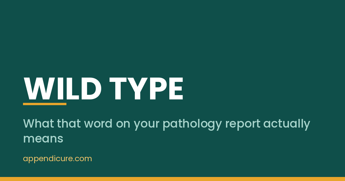 Wild Type Appendix Cancer: What That 1 Word on Your Report Actually Means