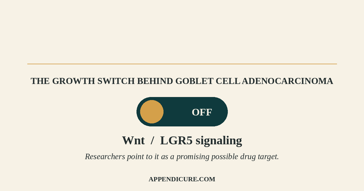 FINALLY – A Possible Pathway Target for Goblet Cell Adenocarcinoma