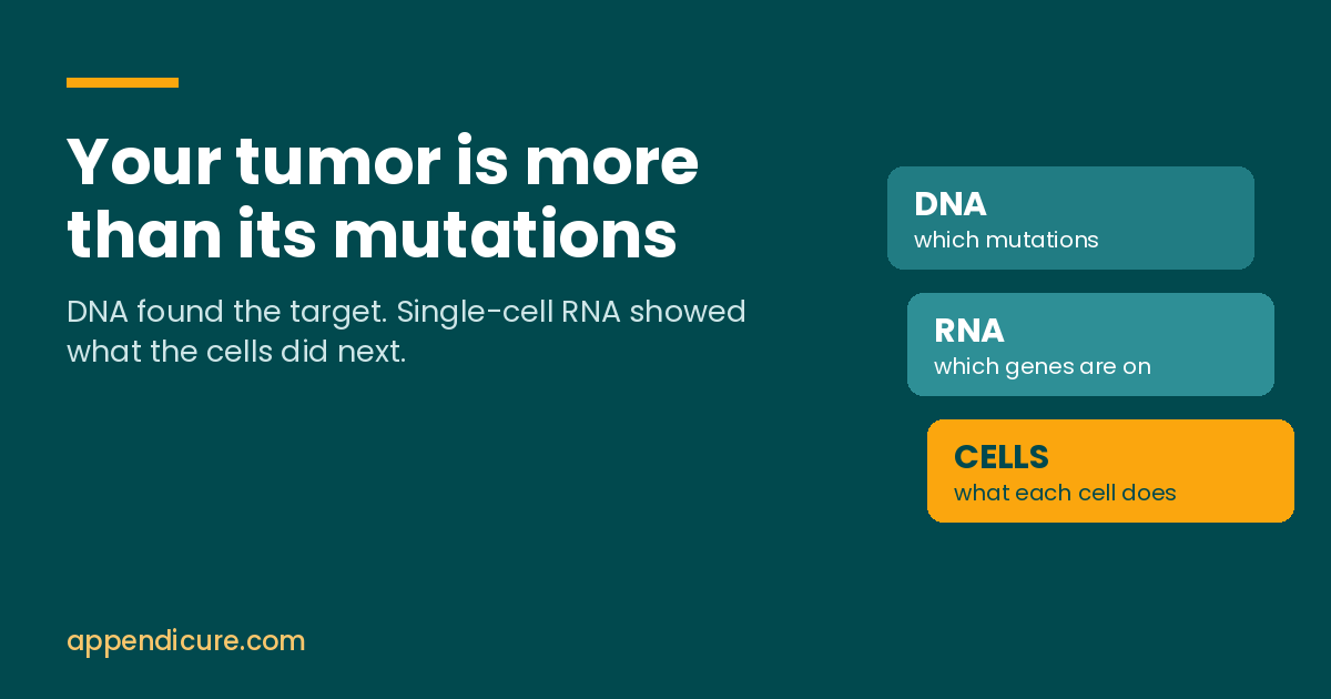 Your Tumor Is More Than Its Mutations: What New Appendix Cancer Research Is Showing Us
